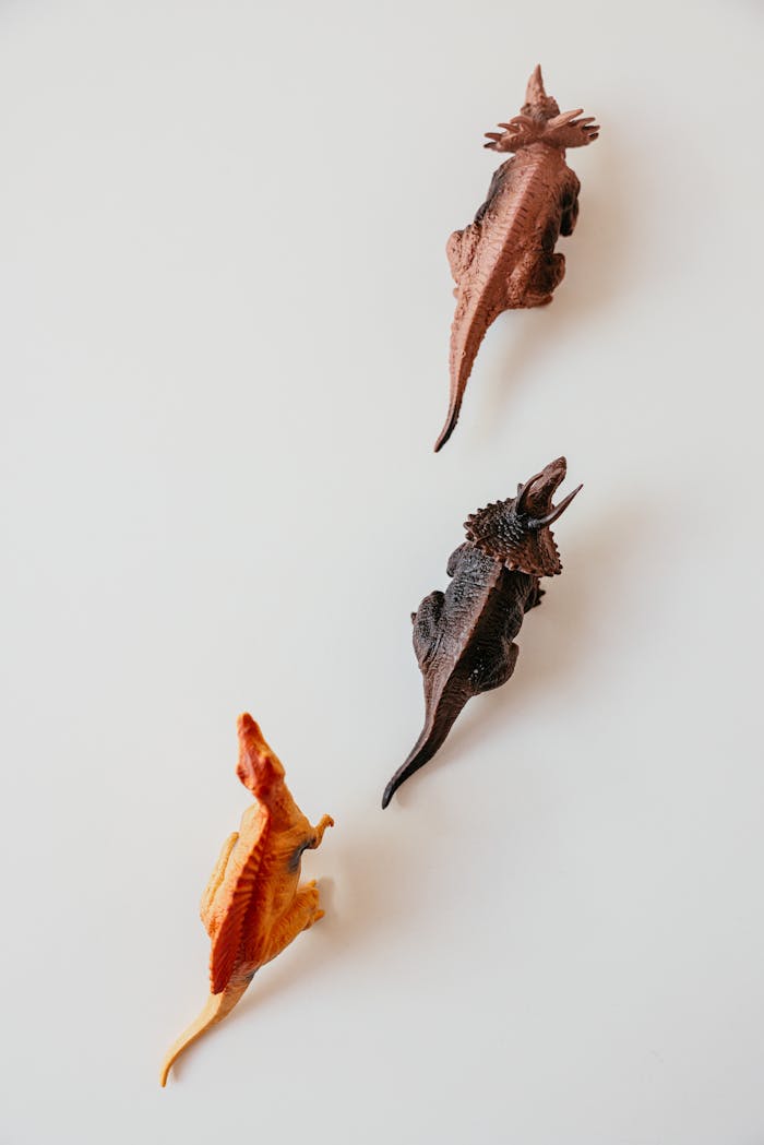 Three colorful dinosaur figurines arranged on a white background, viewed from above.